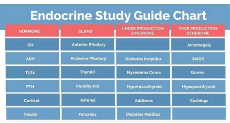 Endocrine disorder study guide Nursing School Studying, Nursing School ...