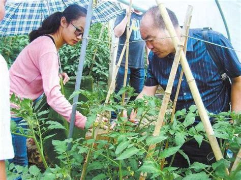 未來農村這三個行業會很吃香，比打工賺錢都多，現在改行還來得及 每日頭條