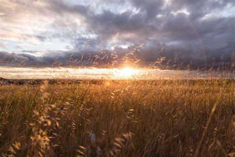 Free Images Landscape Tree Nature Outdoor Horizon Light Cloud