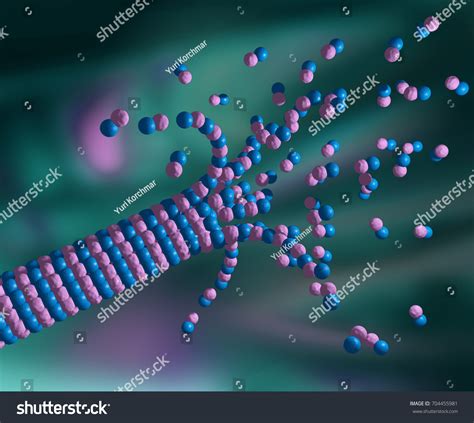 Cytology 3d Illustration Shrinking Microtubule Cell Ilustración De Stock 704455981