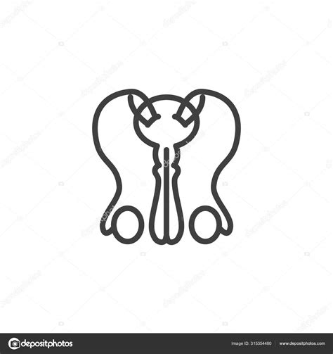 Male Reproductive System Line Icon Stock Vector By ©avicons 315354480