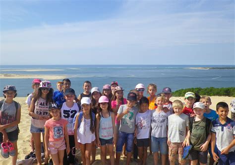 Insolite Le Retour De Classe De Mer Mouvement Des Coliers