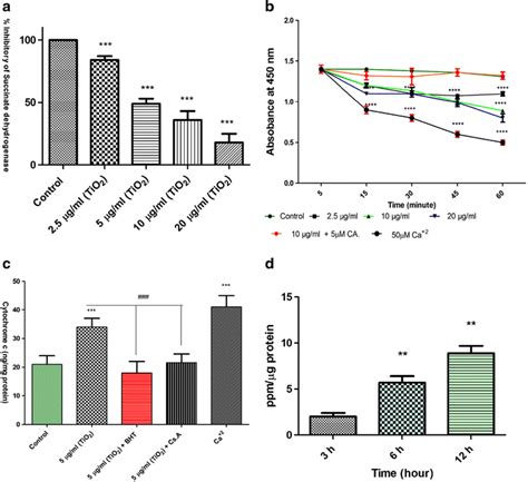 The Effect Of Tio2 Nps On Sdh In Mitochondria A Sdh Activity Was