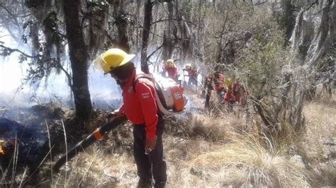 Incendios Forestales Han Afectado 553 Hectáreas En Hidalgo La Silla Rota