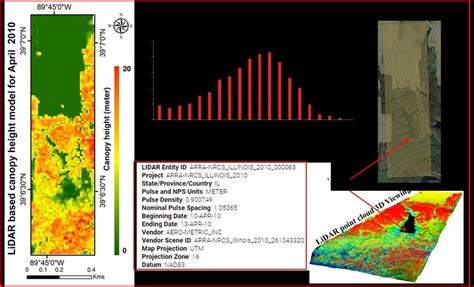 Work Flow Showing Canopy Height Model Chm Area Vrs Canopy Height Download Scientific