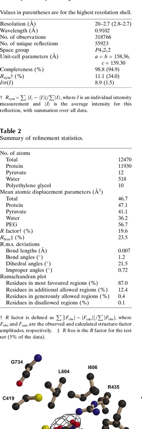 Table 2 From Structure Of Escherichia Coli Pyruvate Formate Lyase With