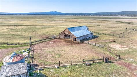 Cattle Working Oregon Deming Ranch Fay Ranches