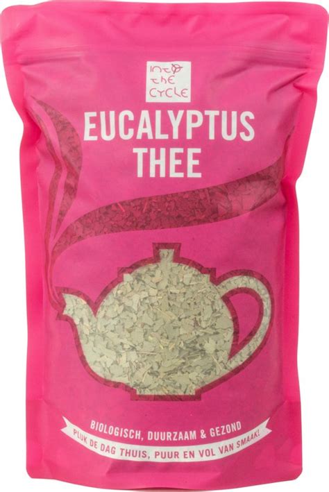 Into The Cycle Eucalyptus Thee Biologisch 600 Gram Zak NL BIO 01 Bol