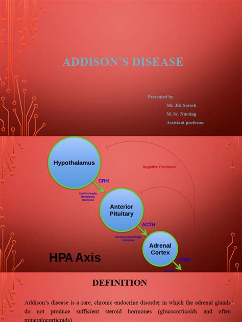 Addisons Disease Pdf Adrenal Gland Glucocorticoid