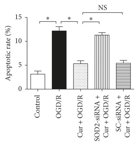 Sod Sirna Reversed Curcumin Induced Antiapoptotic Effects In Ht