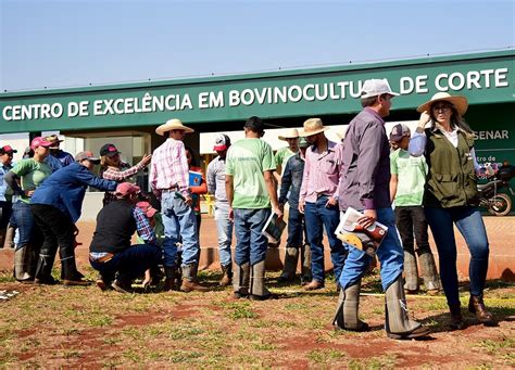 Senar MS abre 130 vagas para Curso Técnico em Agropecuária em Campo