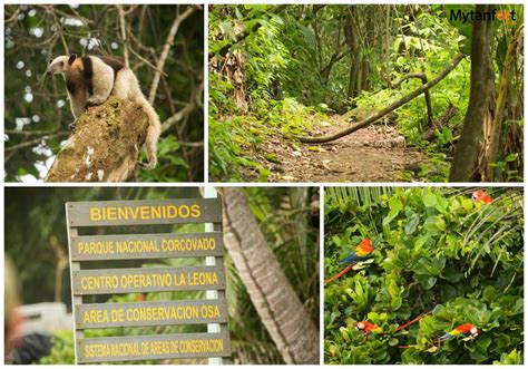 10 Great Hikes In Costa Rica For The Outdoor And Hiking Lover