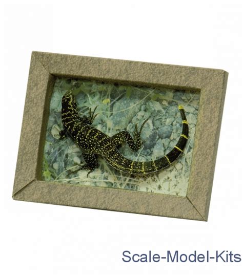 Umbum Collectible Frame Lizard Plastic Scale Model Kit In Scale