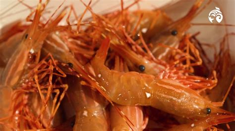 How To Cook Spot Prawns Sustainable Seafood Ocean Wise Youtube