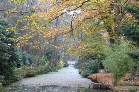 Japanse Tuin Clingendael Wassenaar Bomentoernl