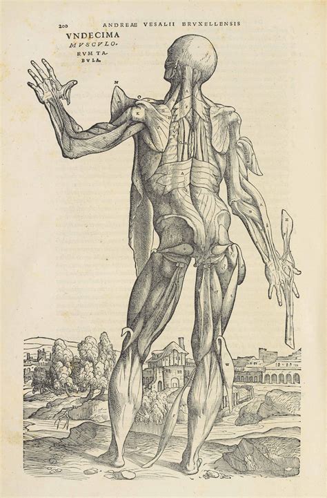 Vesalius Andreas De Humani Corporis Fabrica Lib