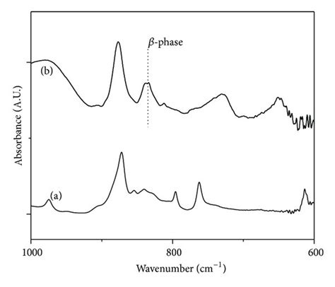 Ftir Spectra Of Electrospun Nanofibers A Pvdf And B Pvdf15 Wt