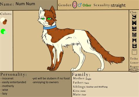 New warrior cat oc by AnimalOfFire on DeviantArt