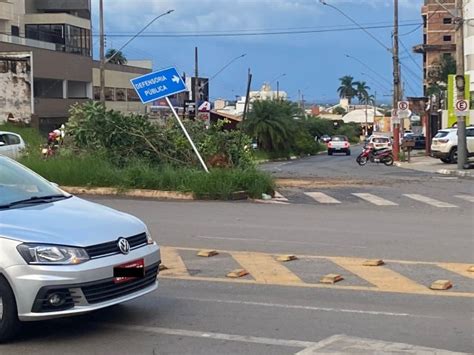 Chuva Forte Derruba Ip Amarelo Considerado Uma Das Maravilhas Da