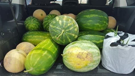 The Small Georgia Town Of Cordele Transforms Into A Watermelon