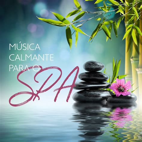 Música Calmante Para O Spa Visualização Reiki Músicas Da Natureza