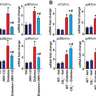 Effect Of Diabetes On Blood Glucose Body Weight HbA1c Levels And