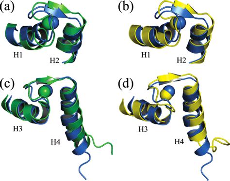 comparison   pseudo ef hand     typical ef hand