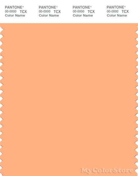 PANTONE SMART 14 1231 TCX Color Swatch Card Peach Cobbler Pantone