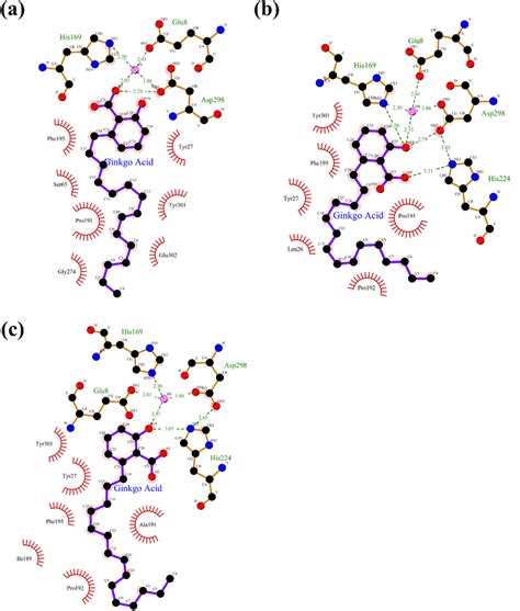 Enzymesubstrate Interaction In Binding Site Enzymesubstrate Of Sdc