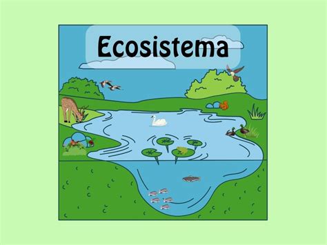 Ecosistema Definicion Y Ejemplos Images