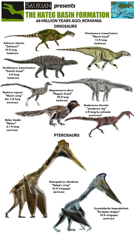 Dinosaurs Of Hateg Island By Vespisaurus On Deviantart