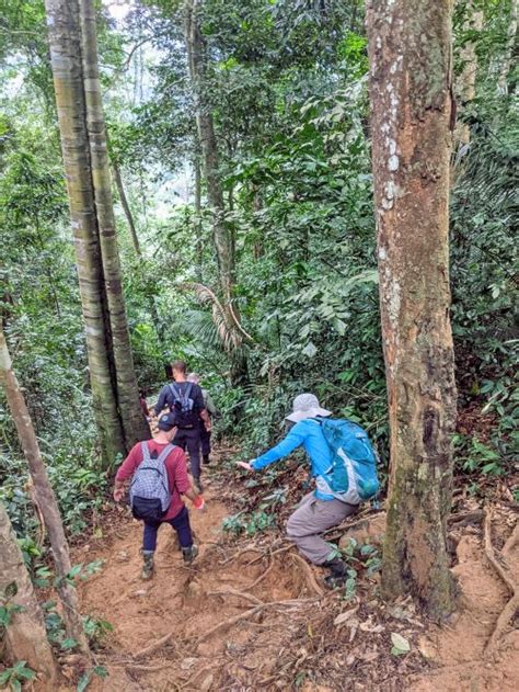 Trekking to Hang En Cave: An Adventurous Experience in Phong Nha, Vietnam