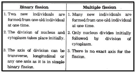 difference between binary fission and multiple fission