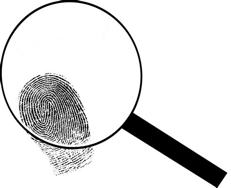 Collection Of Magnifying Glass Detective Png Pluspng