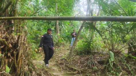 Pria Diduga Hilang Di Hutan Mangrove Balikpapan Belum Ditemukan Ada