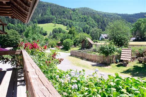 Best Things to Do and See in Germany's Black Forest - My Germany Vacation