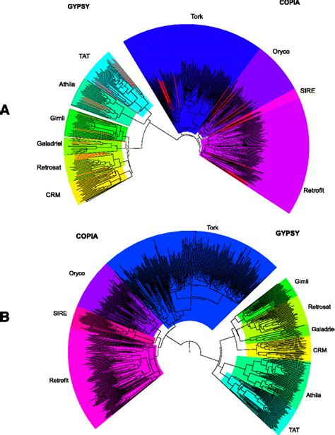 Phylogenetic Analysis Of Ltr Retrotransposons Consensus Sequences