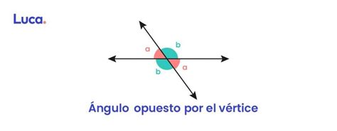 Tipos De Ngulos Plataforma Educativa Luca