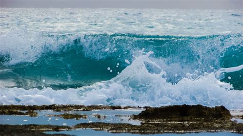 Free Images Beach Sea Coast Water Nature Winter Shore Foam