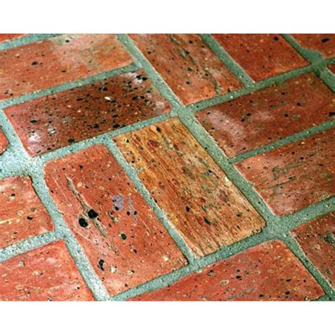 Chicago Common Brick Flooring SAMPLE