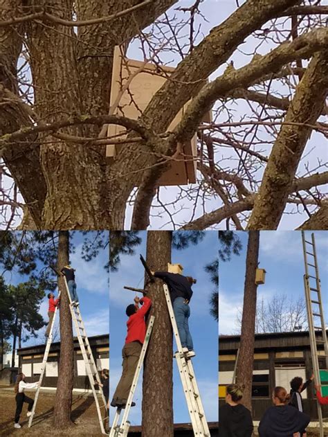 Escola Básica e Secundária Michel Giacometti Eco Escolas