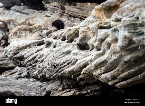 texture  volcanic stone stock photo alamy