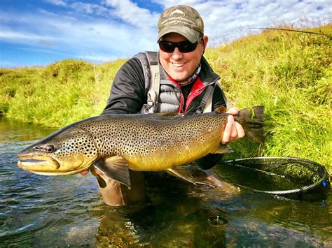 Iceland Brown Trout And Char Fishing In 2023 Aardvark Mcleod