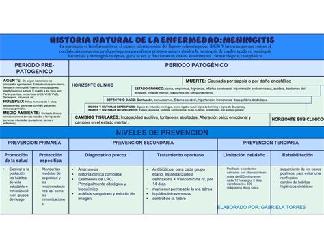 HISTORIA NATURAL DE LA Meningitis Aby Nurse UDocz