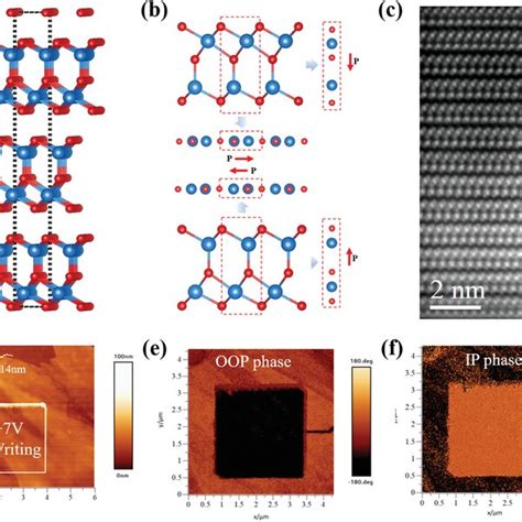 Ferroelectric Polarization Locking In In Se A Crystal Structure Of