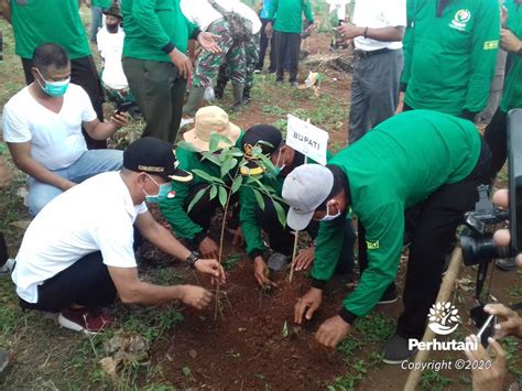 Perhutani Peringati Hari Pohon Sedunia Perhutani Bersama Bupati Jepara