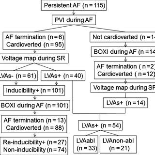 Flow Chart Of The Study Abl Ablation Af Atrial Fibrillation Boxi