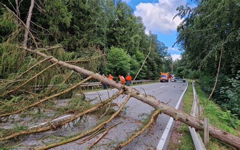 Sturm in Region Trier Bäume umgestürzt Bilder