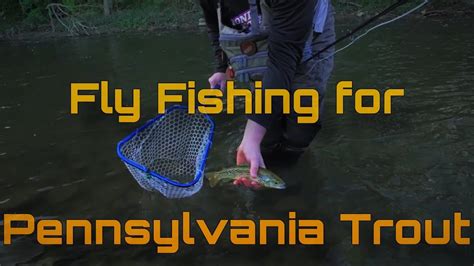 Fly Fishing For Trout In Pennsylvania Pa Fly Fishing Youtube