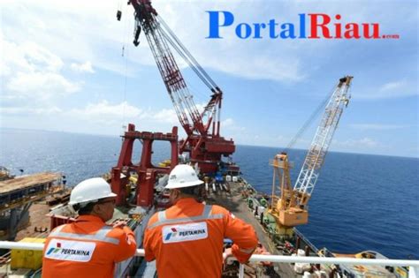 Portalriau Direktur Jenderal Minyak Dan Gas Bumi Migas